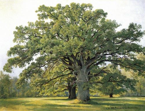 ivan-shishkin: Oaks in Old Peterhof, 1891, Ivan Shishkin