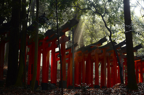 fushimi inari shrine gates Japan, 2014By : Zen Piet Astrud