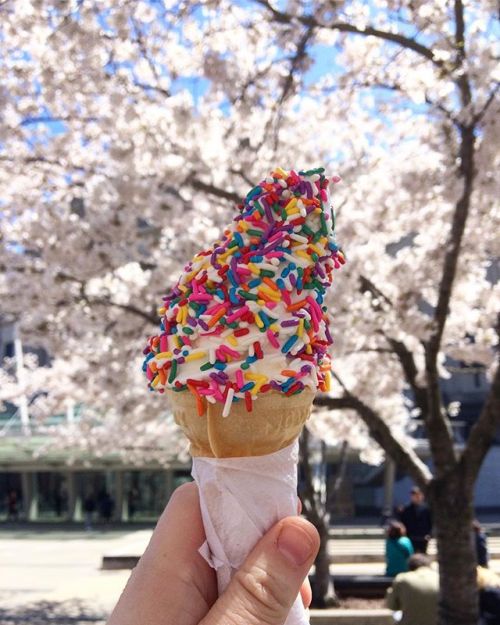 It&rsquo;s starting to feel like summer! Head over to our Plaza to enjoy a cone and sunshine like these recent visitors.