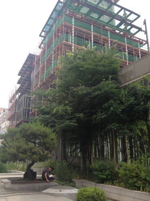 There&rsquo;s this place in Korea, and it&rsquo;s really fantastic because it looks like a f