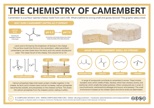 compoundchem:Cheesy chemistry! A look at the science behind camembert’s strong smell and gloopy text