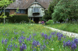 pagewoman:  Great Dixter, Northiam, East Sussex, Englandby Jonathan Buckley