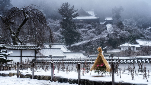 thekimonogallery:Hasedera Temple in Nara. Photography by Norichika