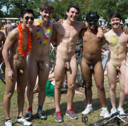 allinstereo:  WNBR Brighton 2014 