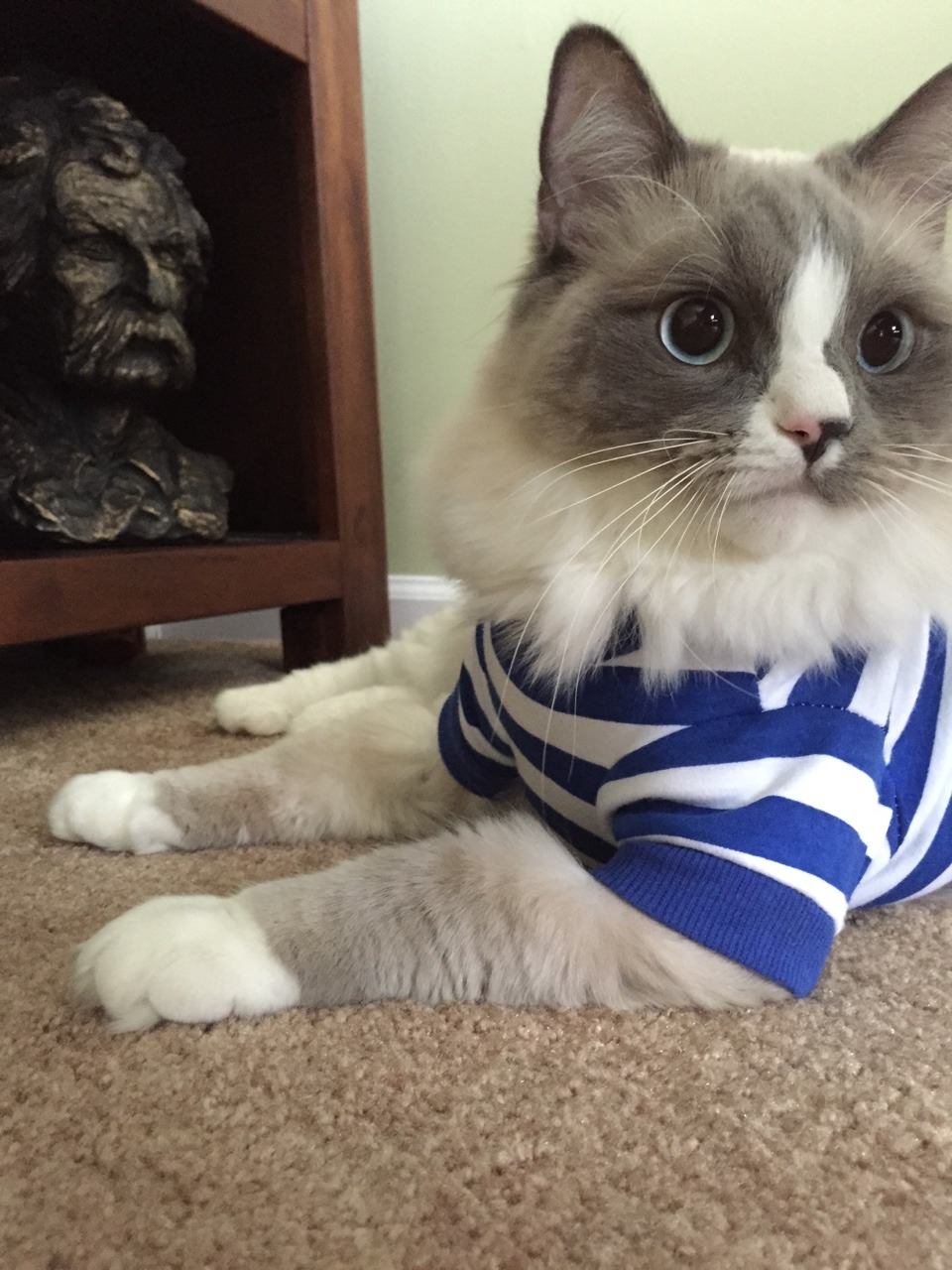 thebosskitty:  Everything is okay beTwain us. 