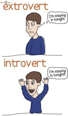 Introvert Problems