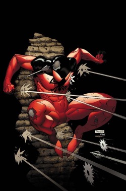 spyder22886:  Scarlet Spider &amp; Superior Spider-Man by ryanstegman  🙊