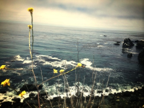 Big sur California
