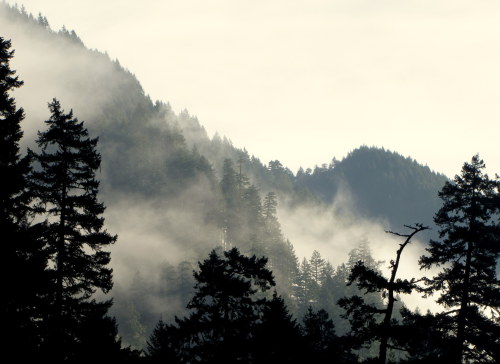  Eagle Creek, Oregon December 2013 