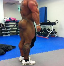 whsutt:  arpeejay:   Great Day For Backs  # 6Dat ass! Dem quads! Dose triceps! And da calves!  , that is nice