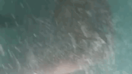 Afro-Orgasm