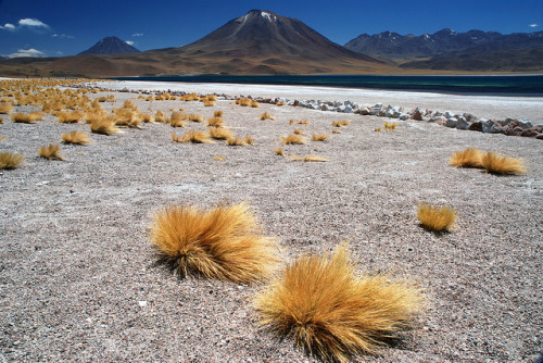 Atacama desert landscapeThe high altitude lake of Laguna Tuyajto in the volcano field.Image: Jorin S