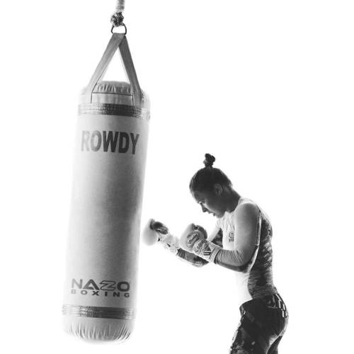 The History of Fighting