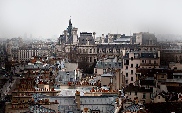  { Paris rooftops } 