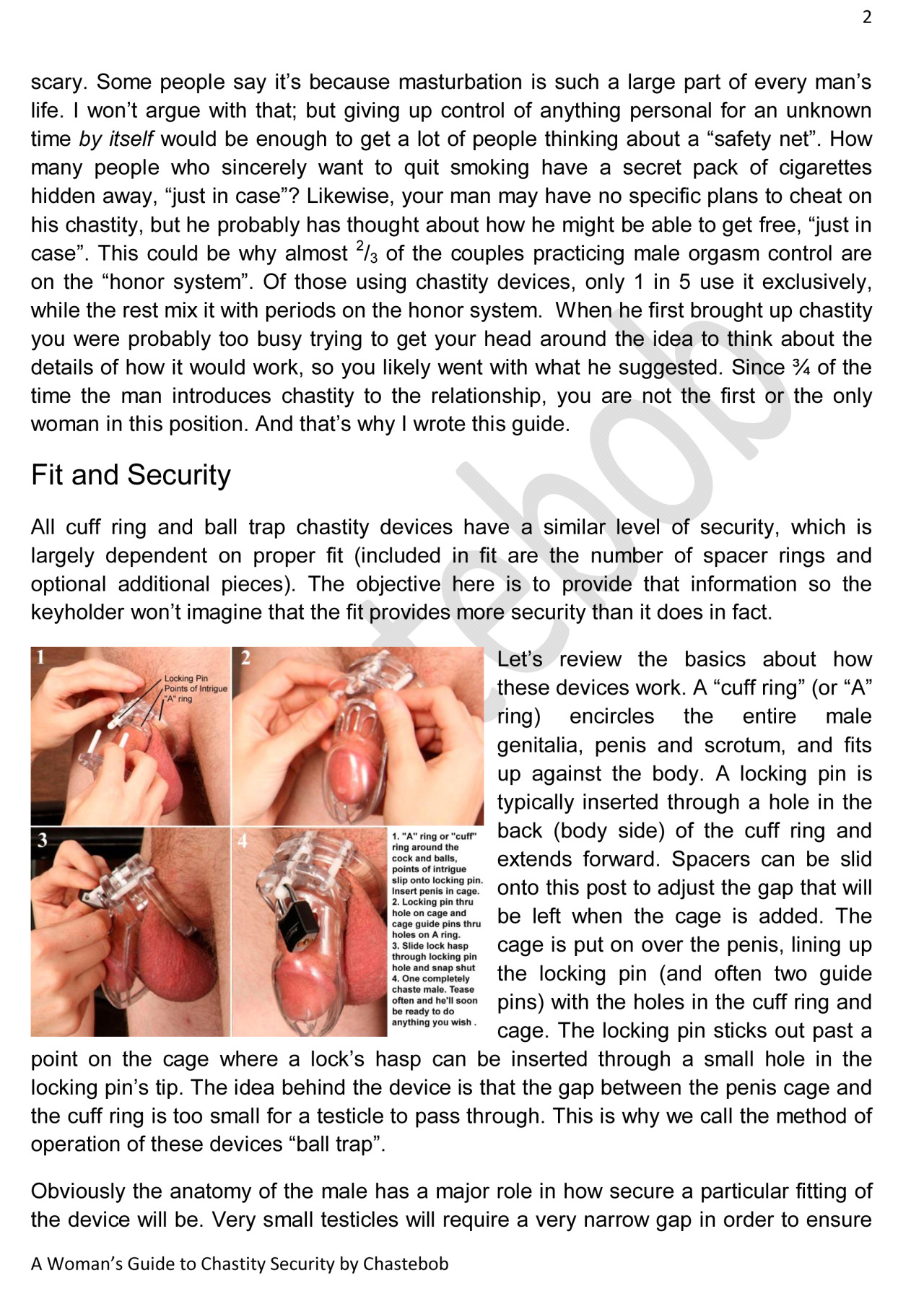 Expanded guide to chastity security.