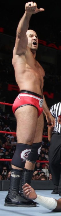 wweassets:  Cesaro 