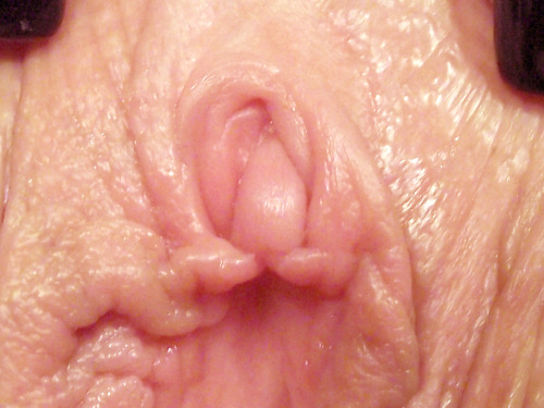 pussy-close-up-fse: