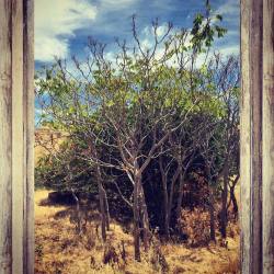 African Outback. #Blackdiamondmines #Eastcounty #Hike #Ourbackyard (At Black Diamond