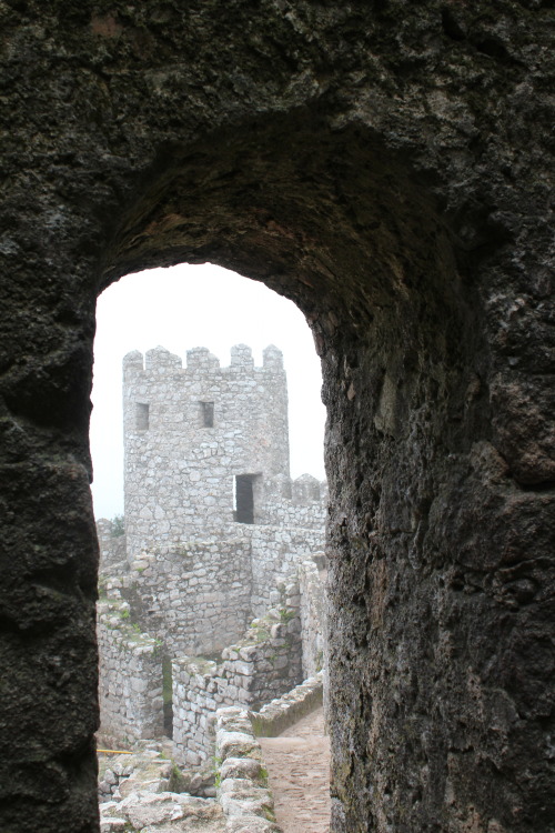 arthistorycq:Moorish Castle RuinsLocation: Sintra, Portugalc. 12th centuryPhoto taken November 2, 20