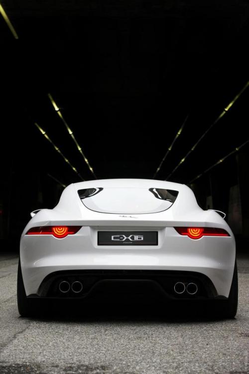 ambroke:Jaguar sportsThis mfa sexy nbs.