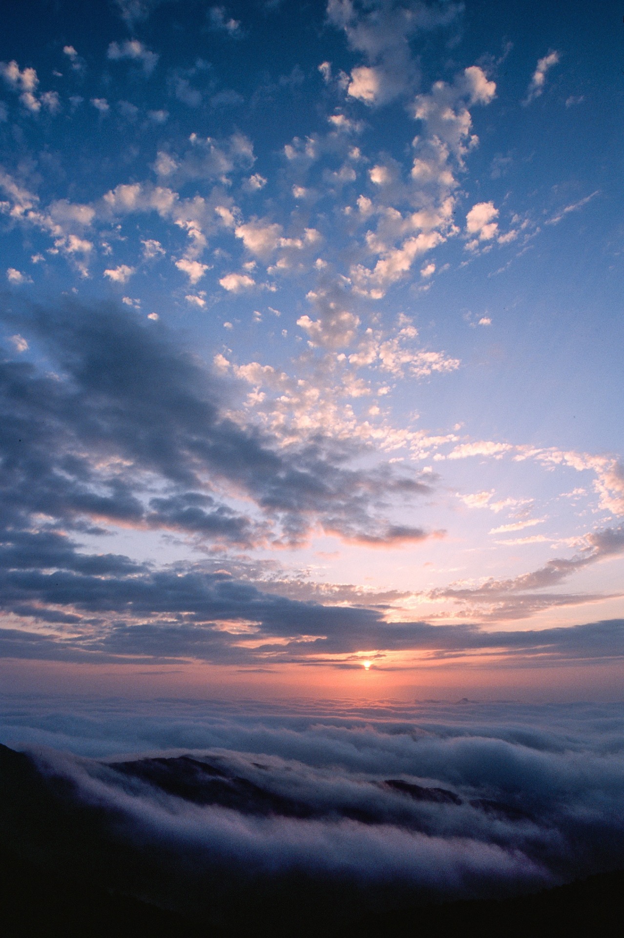 r2&ndash;d2: Untitled