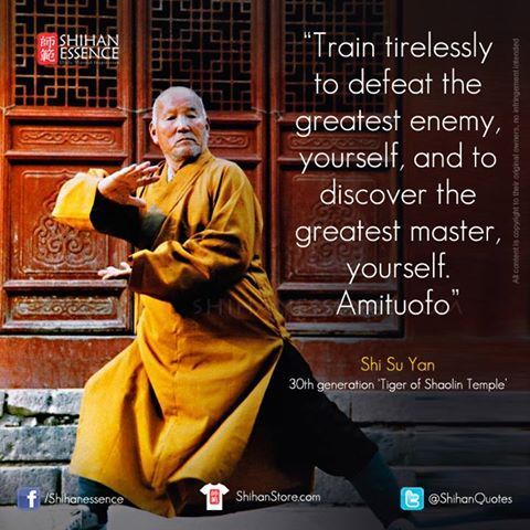 swordstaichikungfuwingchun:  The way to be a kung fu master!! Great quotes for you!! Buy professional Tai Chi Swords on: http://www.icnbuys.com/tai-chi-swords  Follow back 