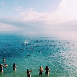 summersenstations:  Kinda proud of this pic I took at Avalon, Catalina, California.