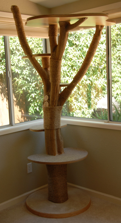 DIY Cat Tree by sliphurFull tutorial here. This is not a beginner project! It calls for some woodwor