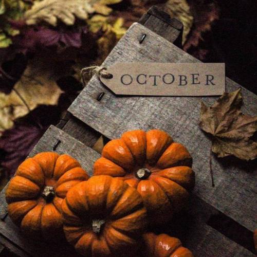 OOKIE SPOOKY