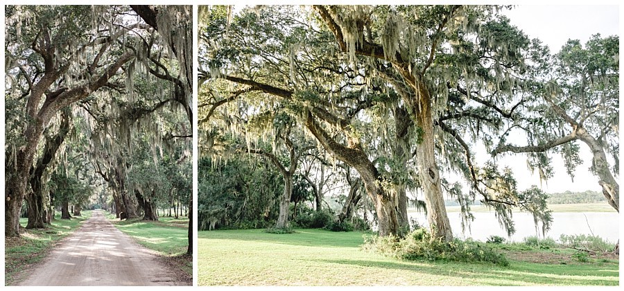 huspa plantation wedding photography charleston