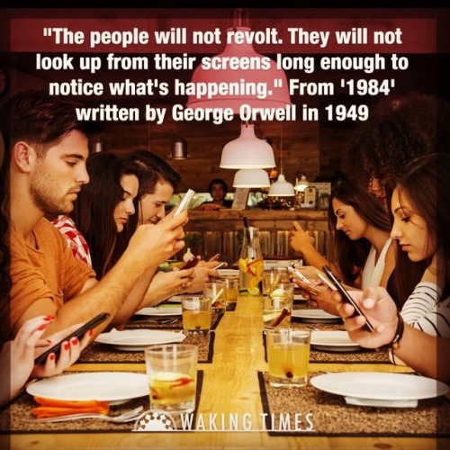 Words to learn by.