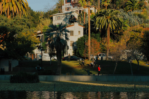 matthewgrantanson:Echo Park Lake, Los Angeles – January 30th, 2021Instagram: @matthewgrantanson