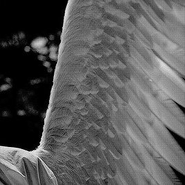 “[Aziraphale’s And Crowley’s Wings] Were Created For Season 1, But We Redid Them As They Needed