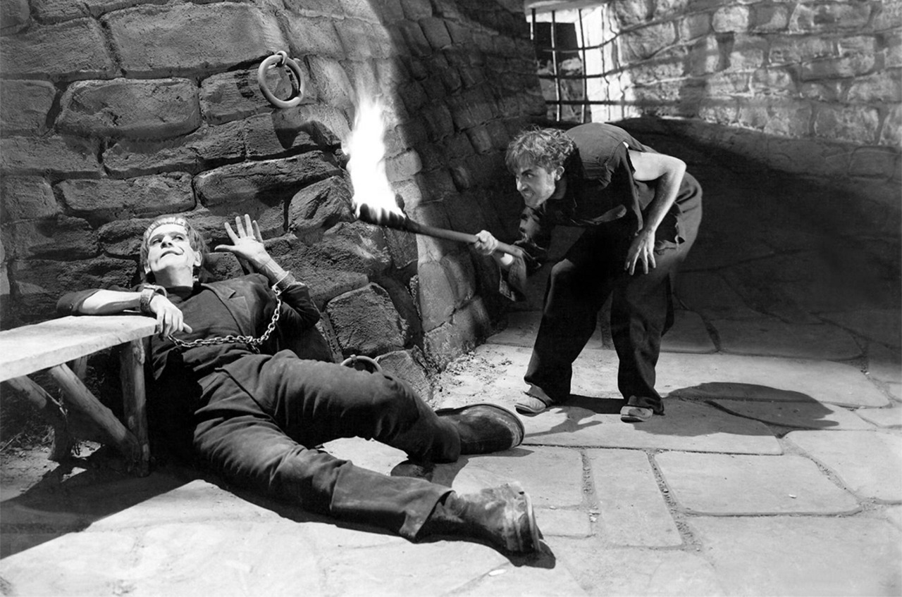 brundleflyforawhiteguy:  Frankenstein (1931)