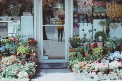 greerlowenstein:  cute lil flower shop ft a distorted selfie