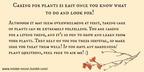 mister-moon: I thought I would share some of my favorite tips on growing plants for all you green (