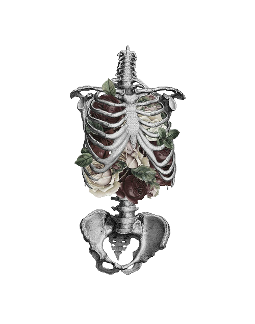 trans-par-en-t:  made transparent by trans-par-en-t 