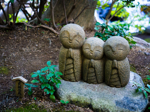 PA190396 by Jostartheworld on Flickr.