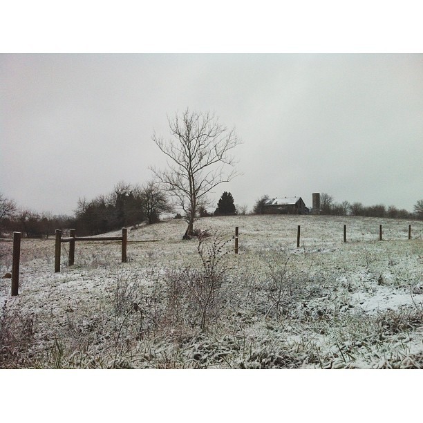 &lsquo;The house where nobody lives&rsquo;