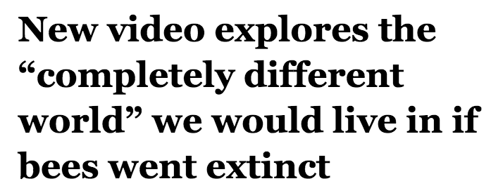 salon:  Bees play an extremely important ecological role, pollinating flowers and