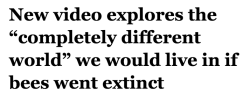 salon:  Bees play an extremely important ecological role, pollinating flowers and promoting biological diversity. In fact, bees are so important that some have speculated that if bees were to go extinct, so would humans and life as we know it on Earth.