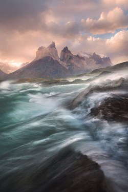 expressions-of-nature:  Kingdom of the Wind