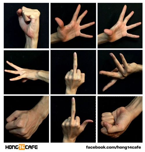 forzamentis:Fantastic hands references by the website Hong14cafe.Hong14cafe: Facebook | Forum