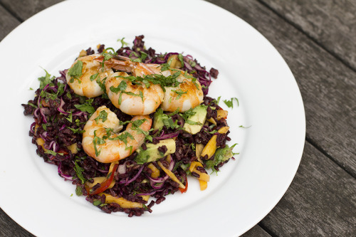 Sneak peek of a new project I&rsquo;m working on. Black rice salad with mango, avocado, red pepp