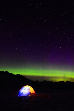 0rient-express:  tent northern lights 2315