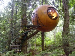 bohemianhomes:  Moon to Moon Blog: Free Spirit Spheres and are  set among the tall trees of the west coast rainforest of Vancouver Island, Canada.