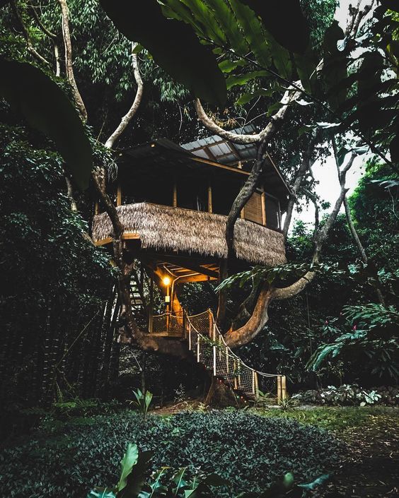 sandra1219:  Tree House, Puerto Rico. (@jucwho) on Instagram.