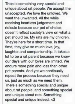 ratobsession: Found this post while scrolling through my Facebook feed and honestly it sums up rat parenthood so nicely 👐