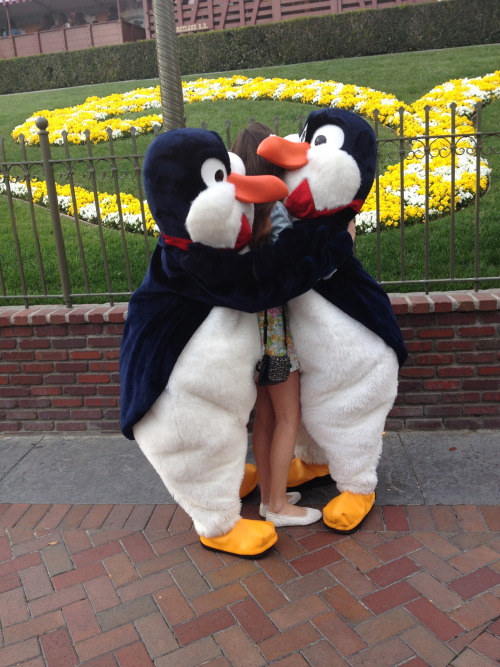 Porn Pics disneyplace:  One time the penguins proposed