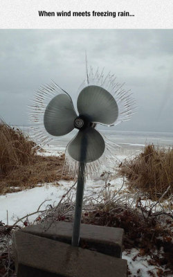 srsfunny:  Wind Vs. Freezing Rain